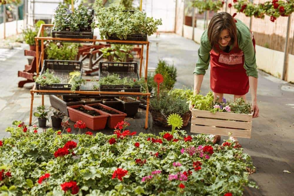 Seasonal Employee at Garden Center and ACA Compliance