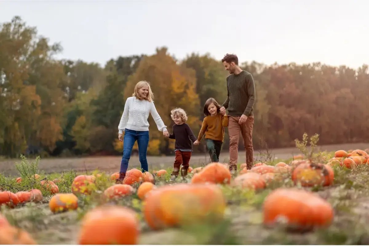 kansas-city-pumpkin-patches (1)