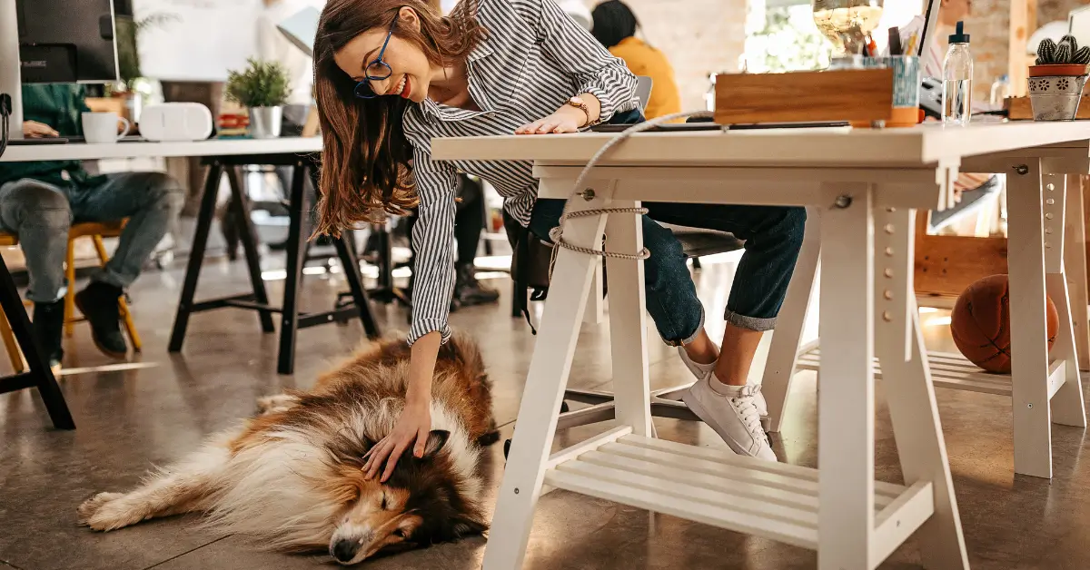ADA service animals