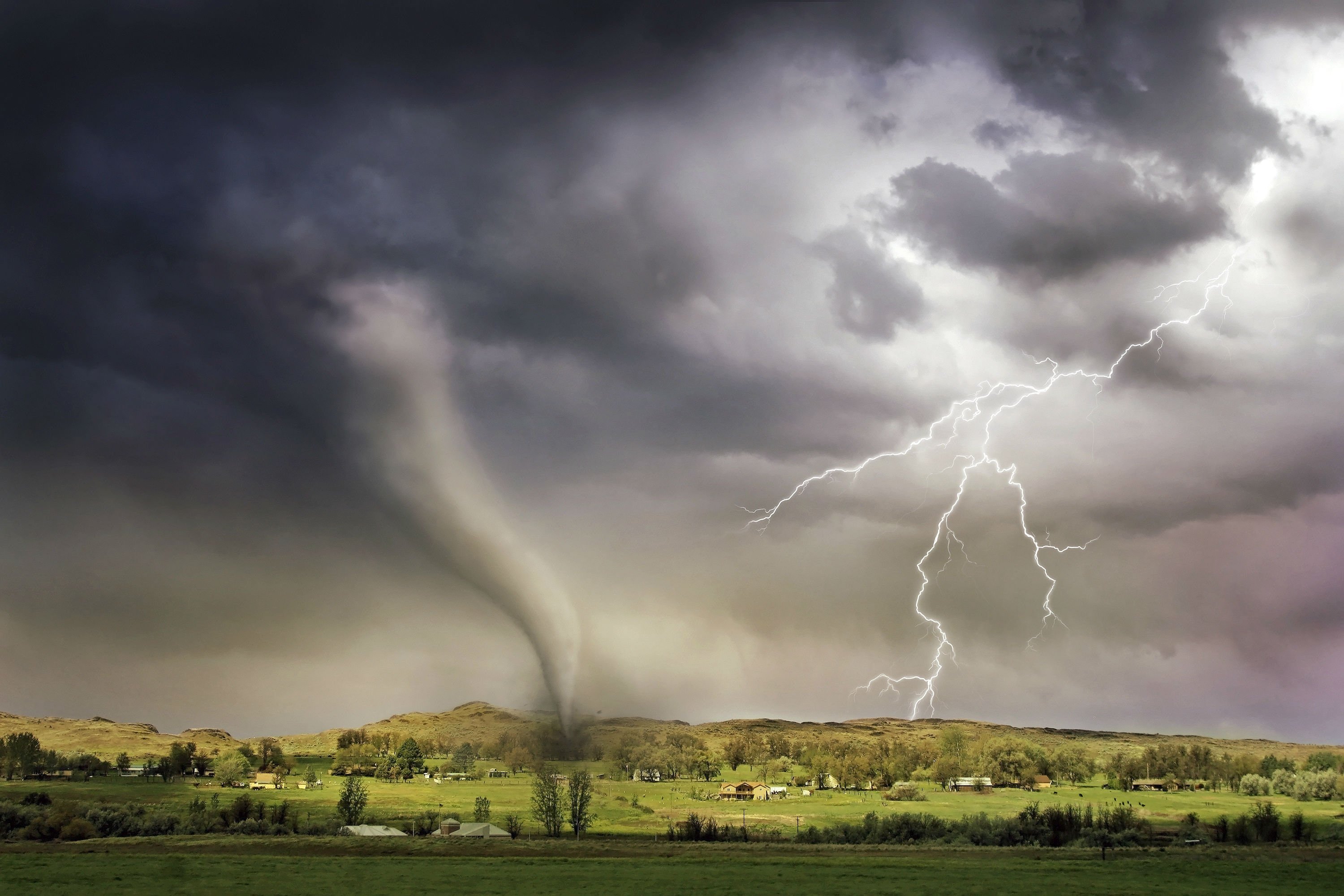 Tornado Preparedness in the Workplace: Keeping Employees Safe