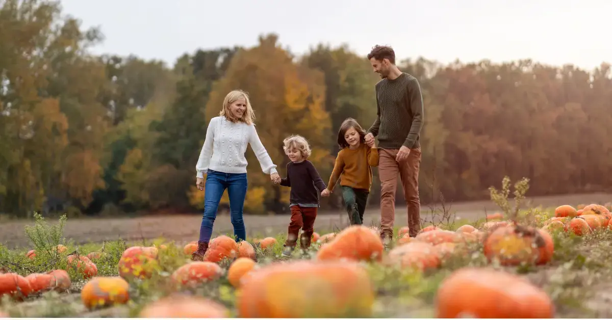 Kansas City pumpkin patches