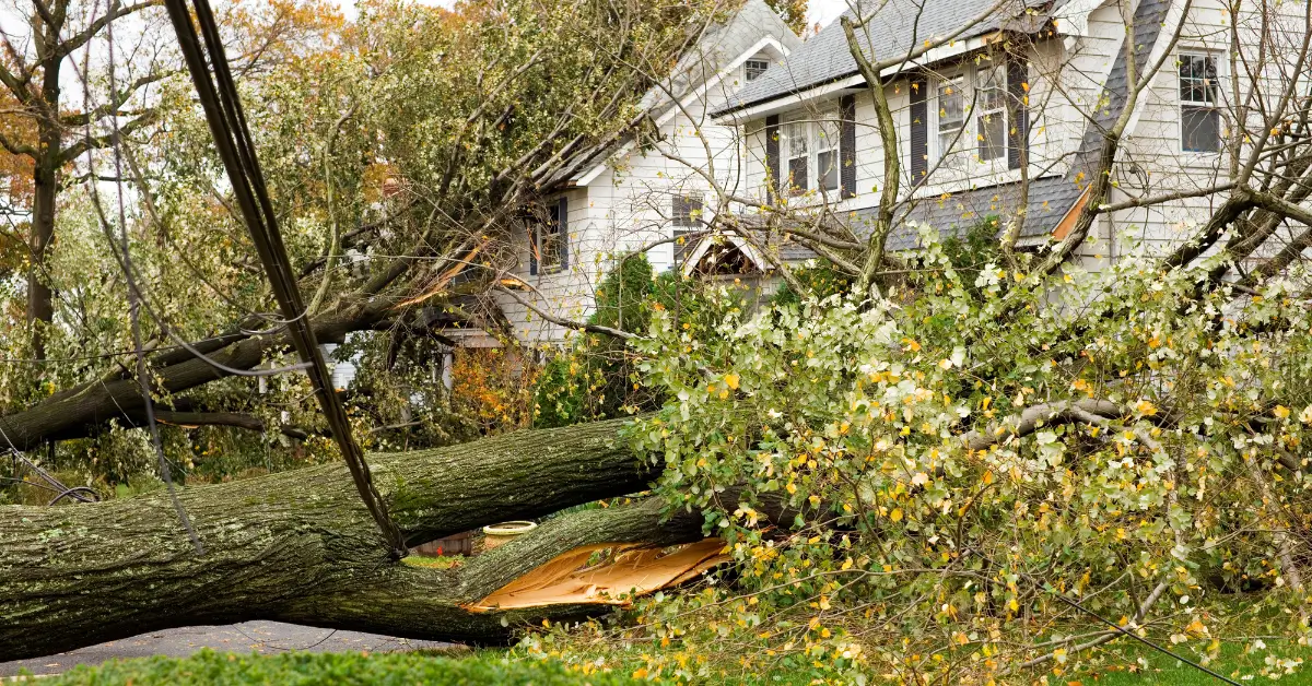 Q&A: Loans on 401(k) Plans Due to Natural Disasters