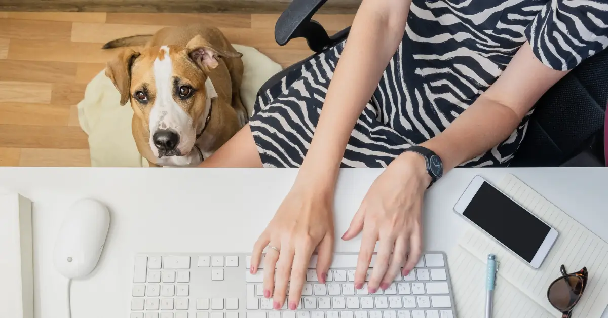 Why Employers May Want More “Take Your Dog to Work” Days